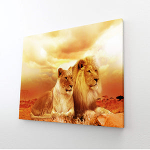African Lion Print