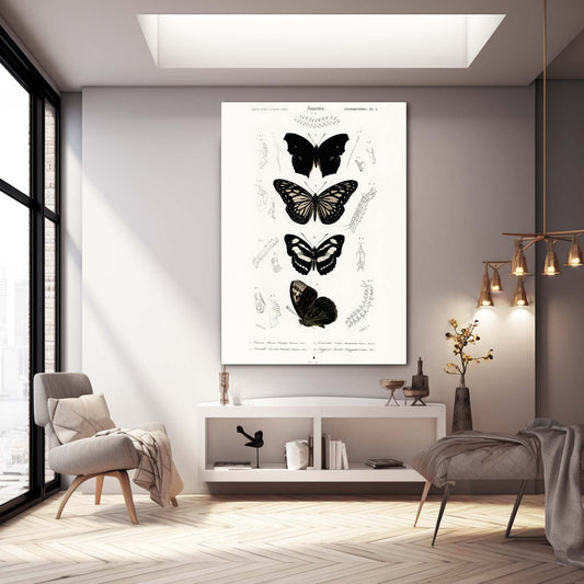 Antique Butterfly Wall Art — black and white canvas print in white tones, view 3
