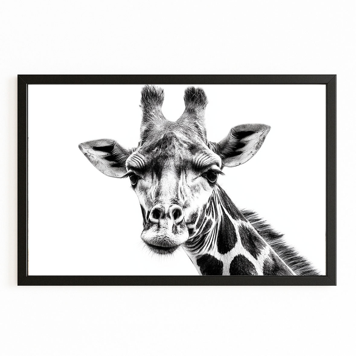 Framed black and white illustration of a giraffe's head on a white background