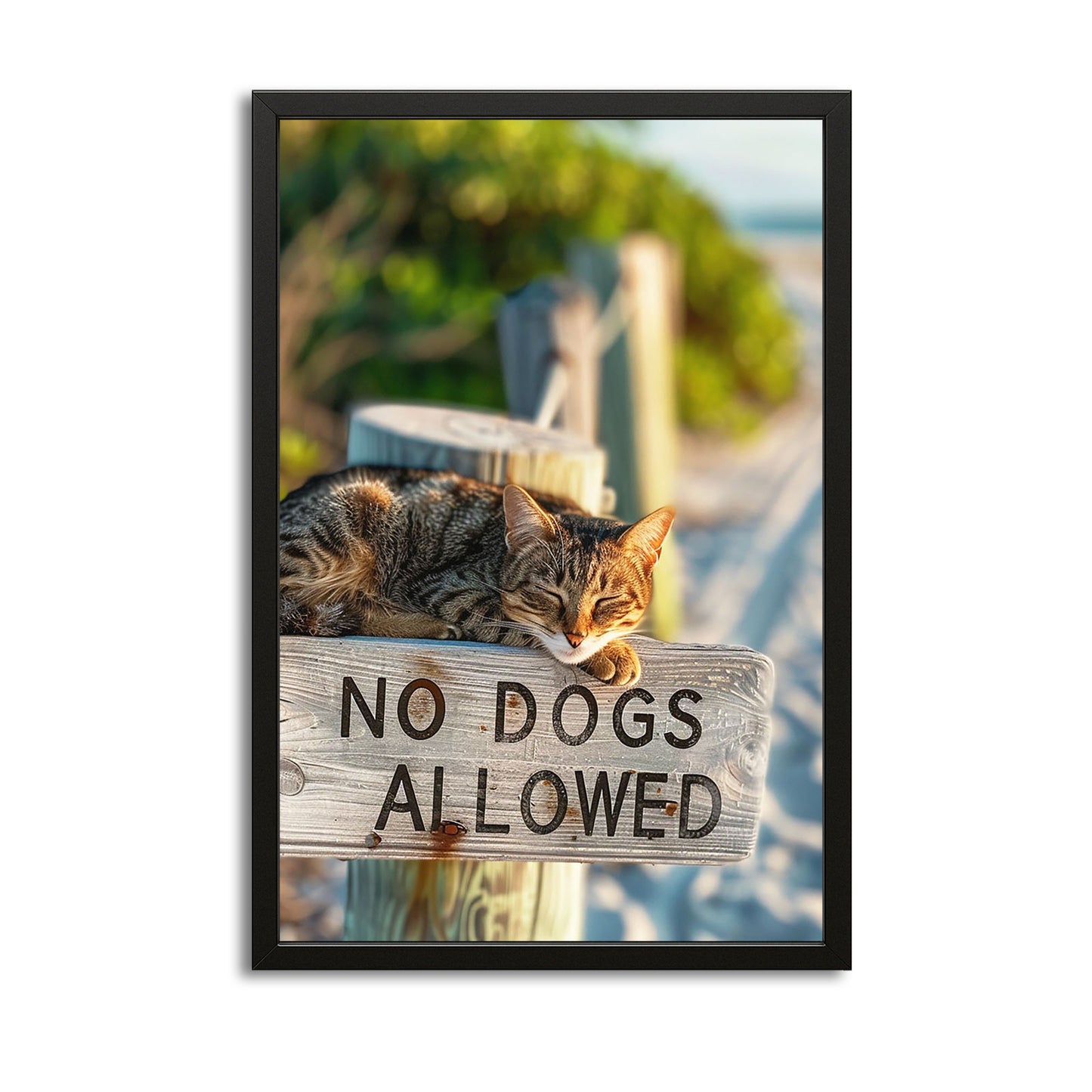 Beach Sign Cat Wall Art