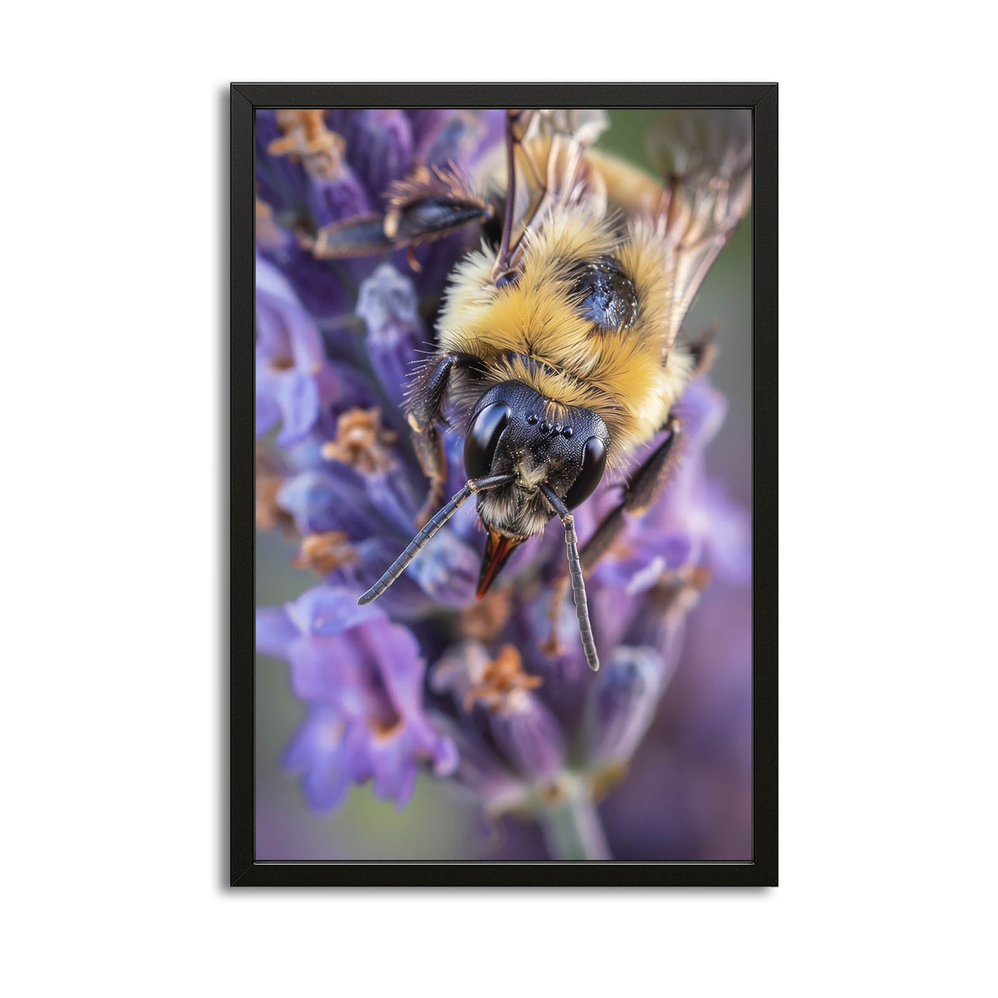 Bee On Lavender Art