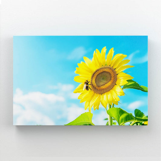 Bee On Sunflower Art — photography canvas print in blue tones