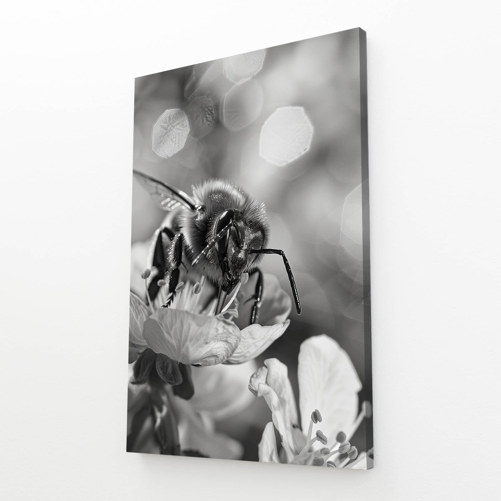 Black And White Bee Art