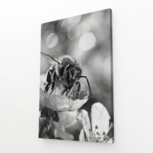 Black And White Bee Art