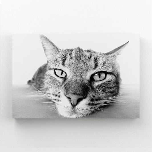 Black And White Cat Wall Art — black and white canvas print in white tones