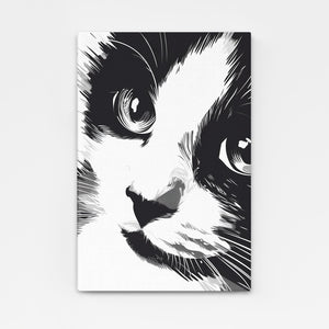 Black And White Draw Cat Art