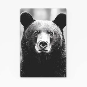 Black Bear Art