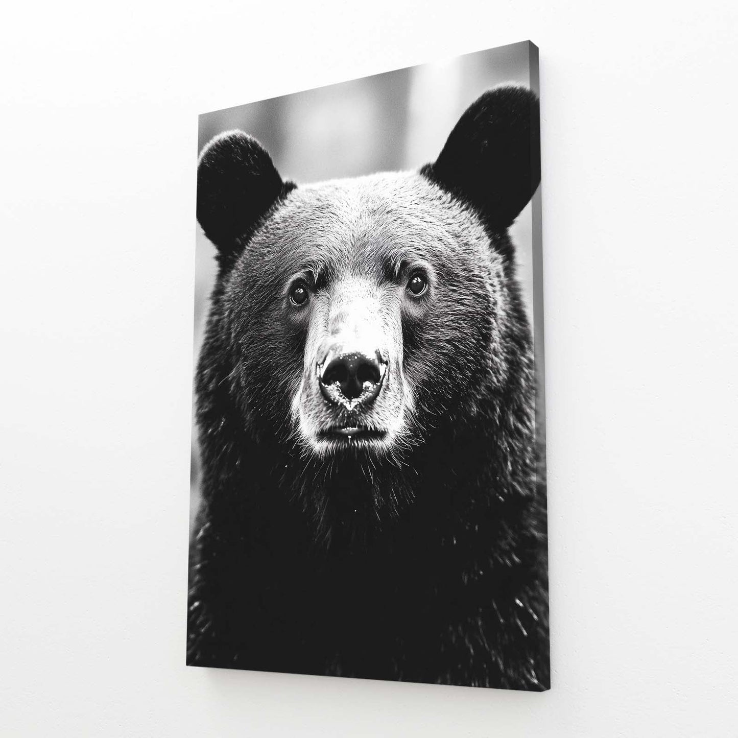 Black Bear Art