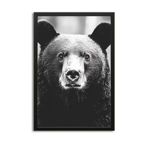 Black Bear Art