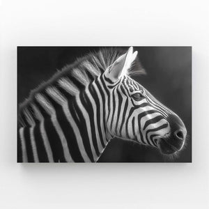 Black White Zebra Canvas Art