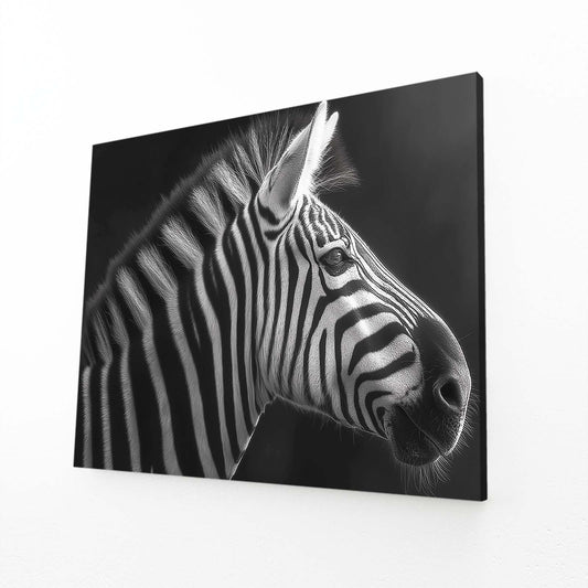 Black White Zebra Canvas Art – black white canvas print