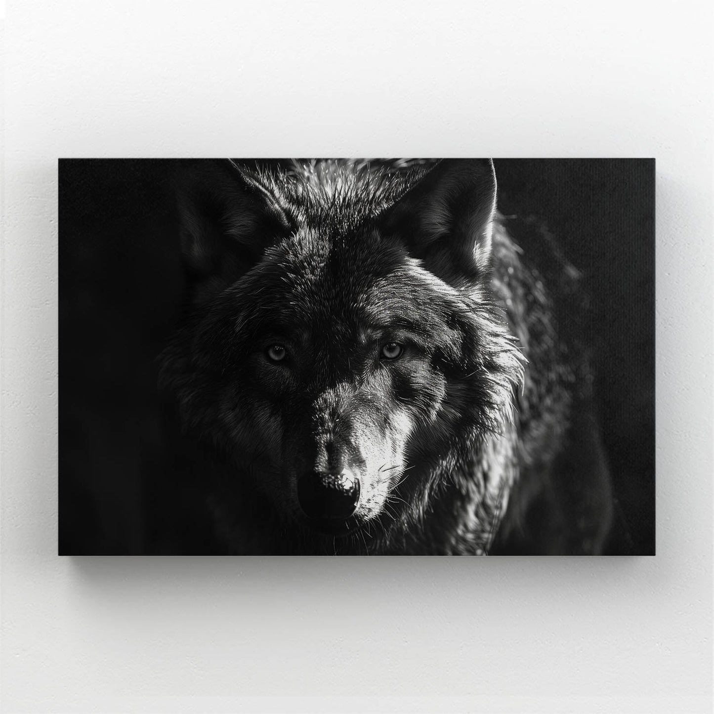 Black Wolf Artwork