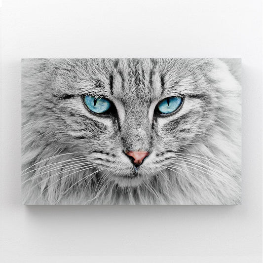 Blue Eyes Cat Art — contemporary canvas print in silver tones