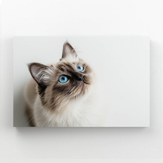Blue Eyes Cat Wall Art — cute canvas print in brown tones