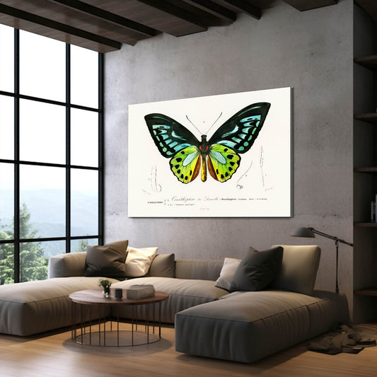 Botanical Butterfly Wall Art — botanical canvas print in white tones, view 3