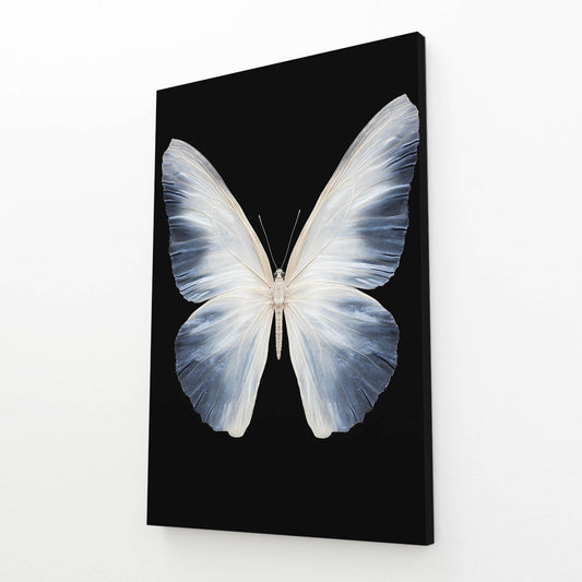 Butterfly Black and White Wall Art