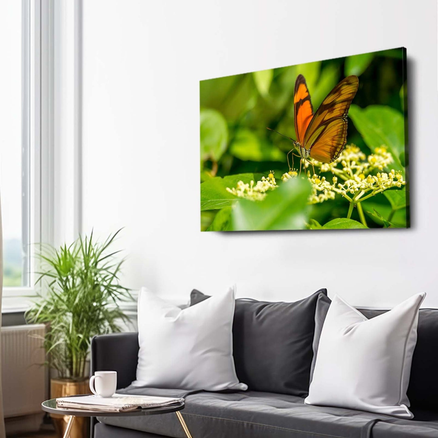 Butterfly Photography Wall Art