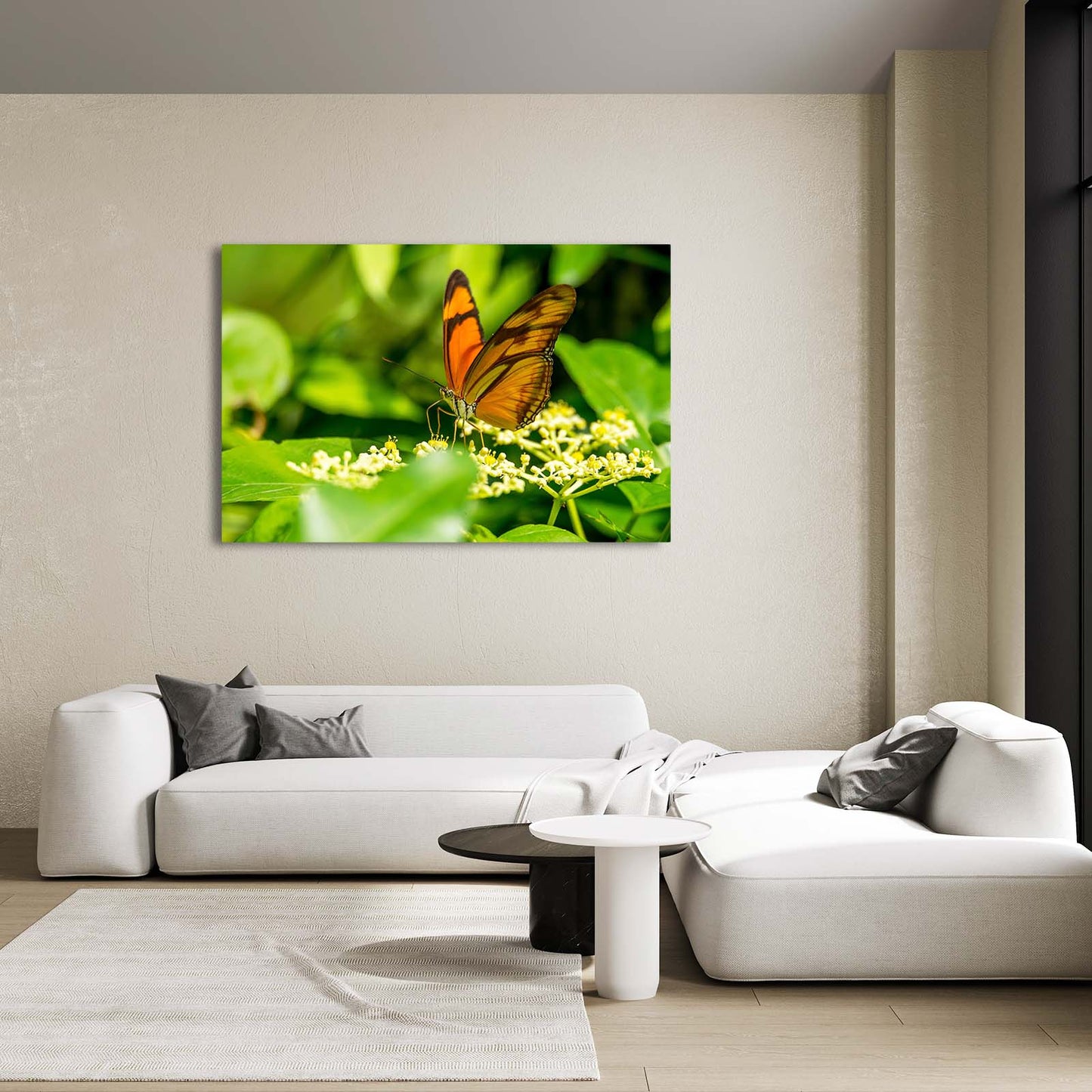 Butterfly Photography Wall Art