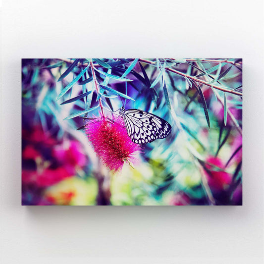 Butterfly Pictures Wall Art