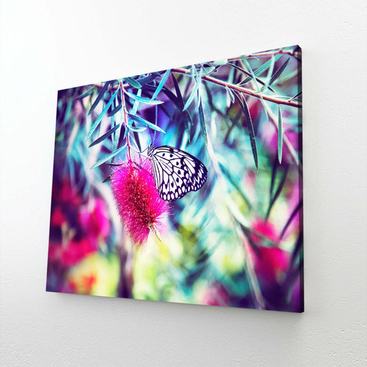 Butterfly Pictures Wall Art