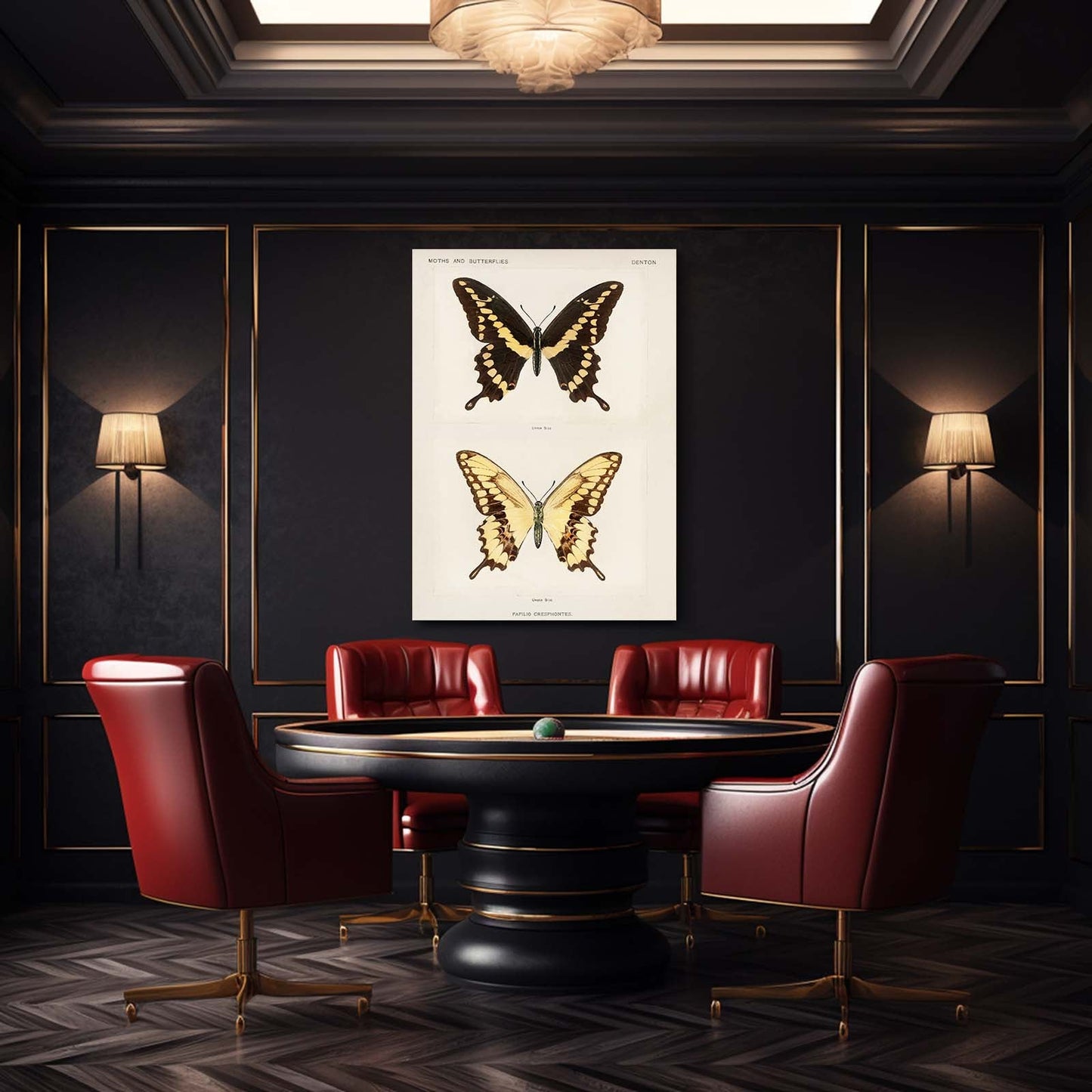 Butterfly Specimen Wall Art