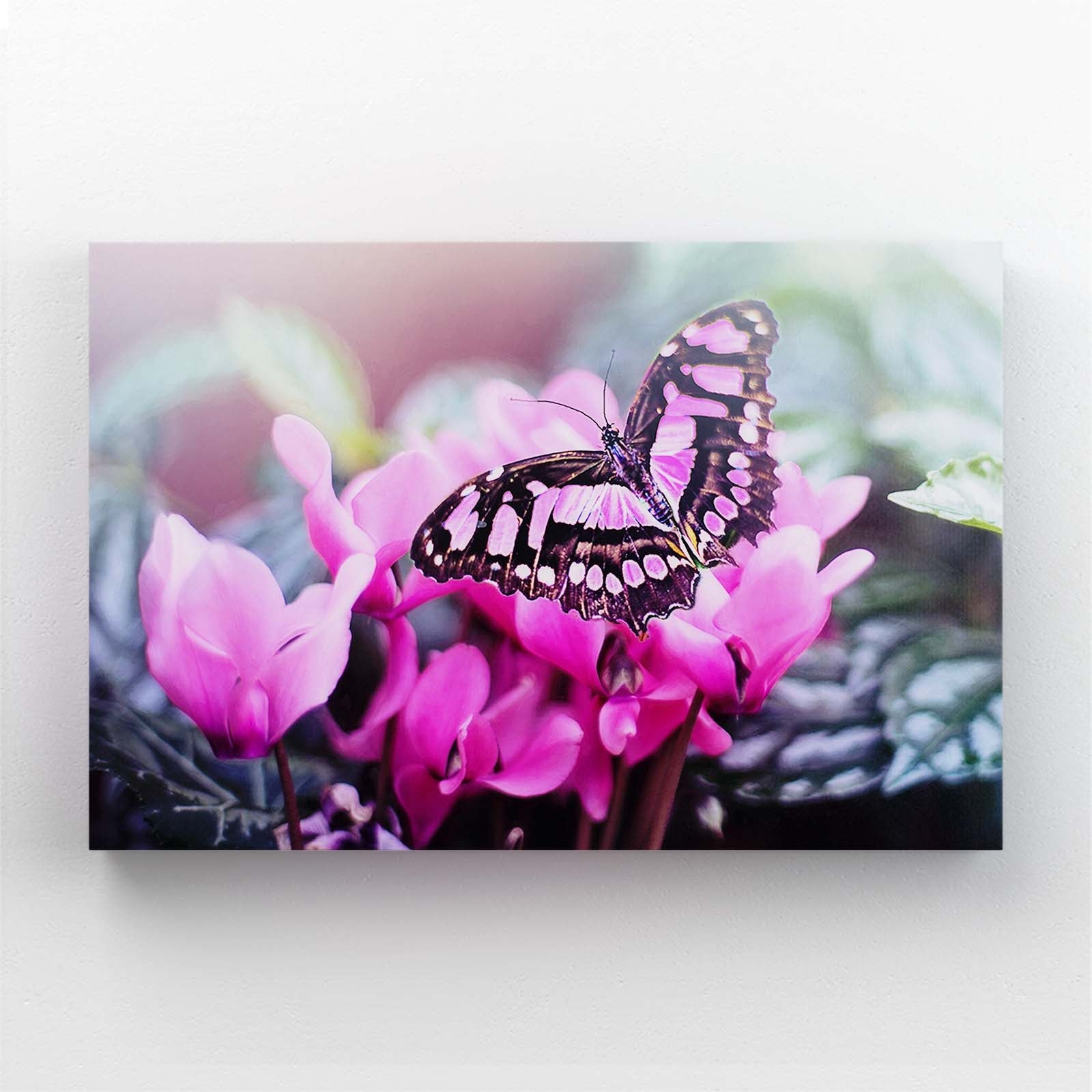 Butterfly Wall Art For Nursery