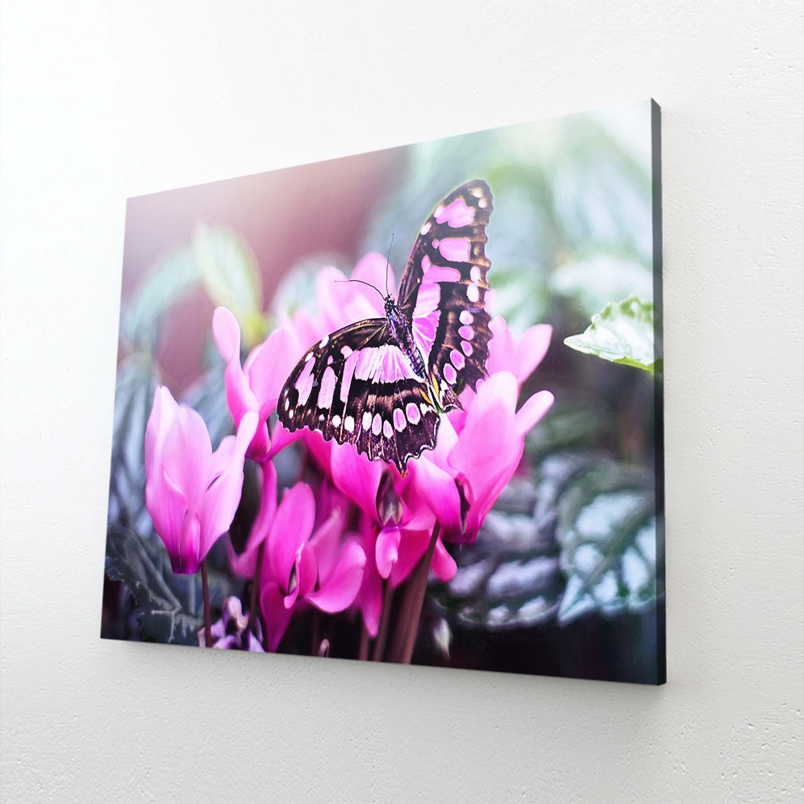 Butterfly Wall Art For Nursery