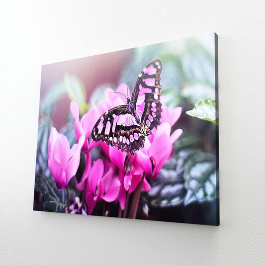 Butterfly Wall Art For Nursery