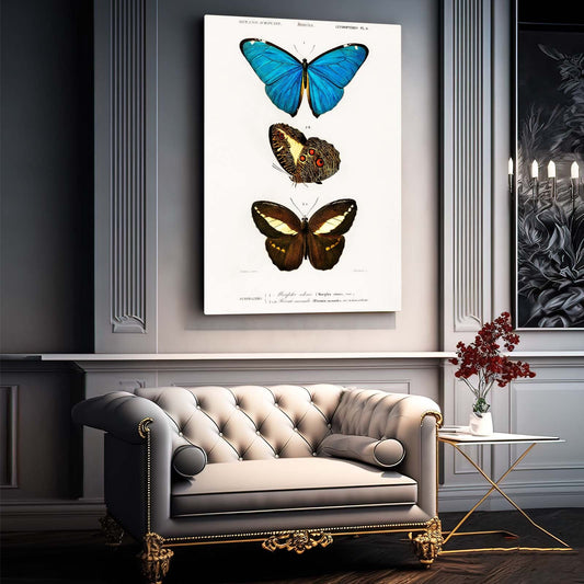 Butterfly Wall Art Naturalist