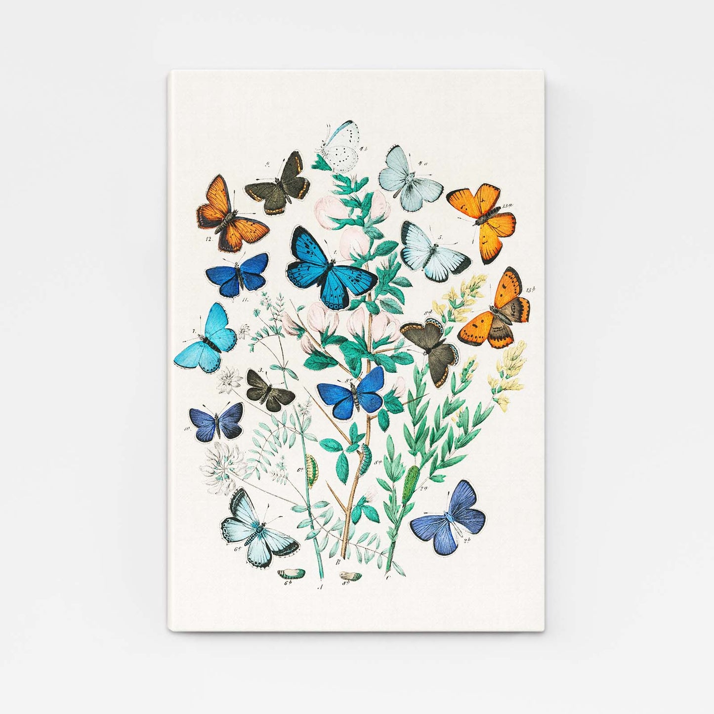 Canvas Butterfly Wall Art