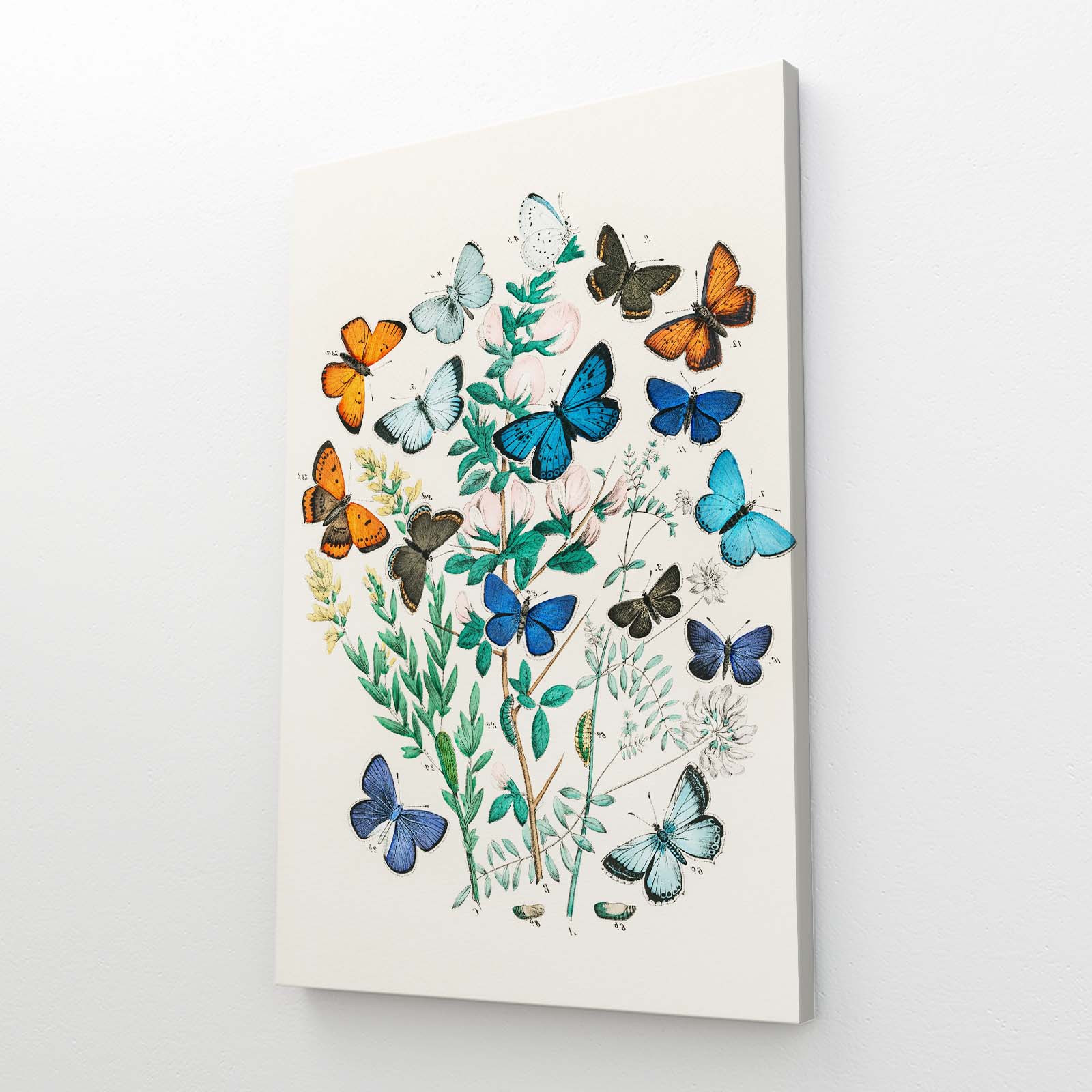 Canvas Butterfly Wall Art