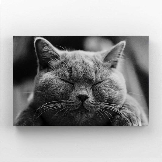 Cat Art Wall Decor — black and white canvas print in gray tones