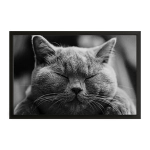 Cat Art Wall Decor