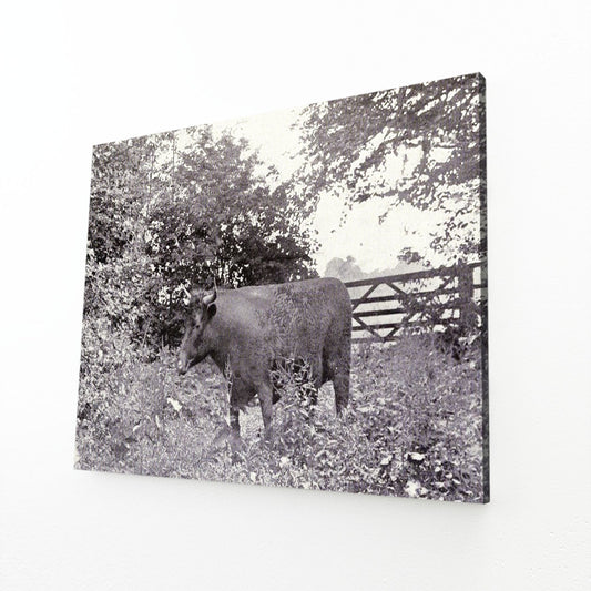 Classic Cow Wall Art – angled canvas view on white background