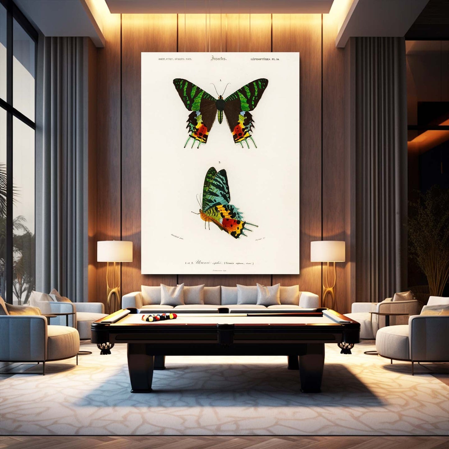 Colorful Scientific Butterfly Wall Art