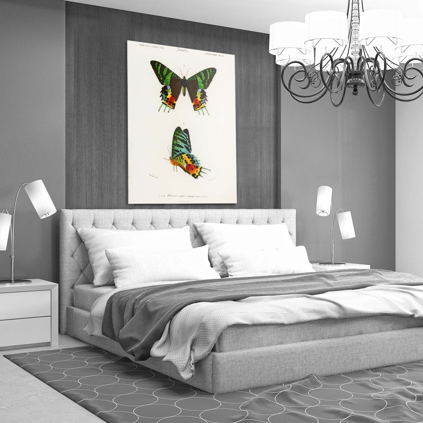 Colorful Scientific Butterfly Wall Art