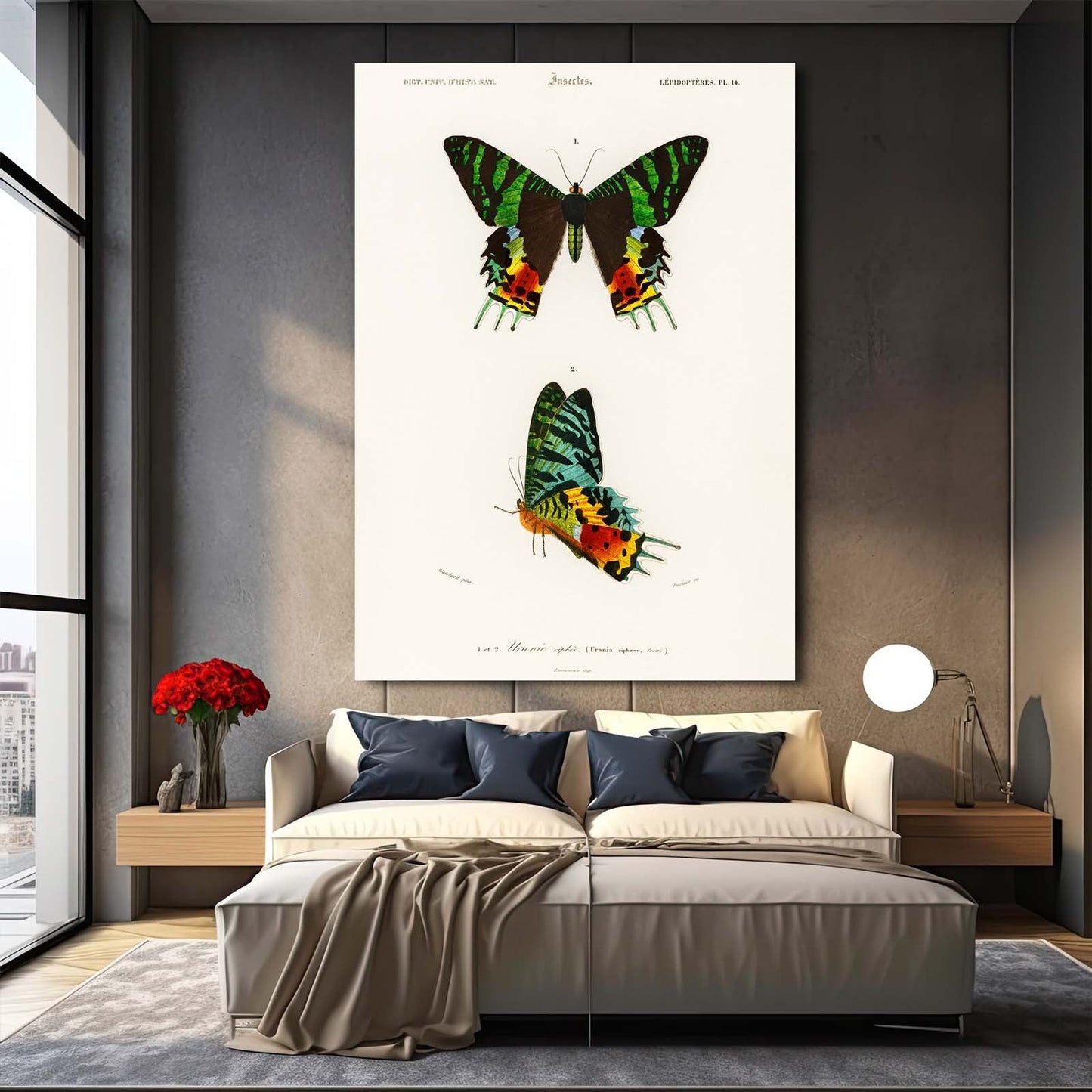 Colorful Scientific Butterfly Wall Art