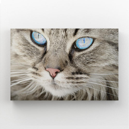 Crystal Eyes Cat Wall Art — photography canvas print in brown tones