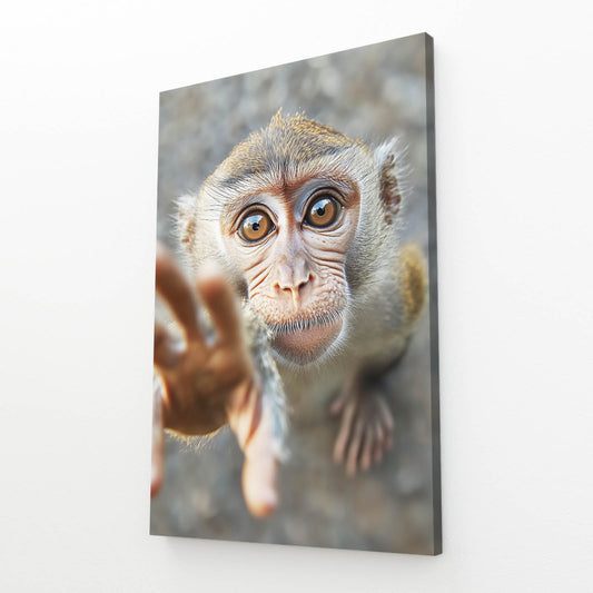 Curious Reaching Hand Monkey Wall Decor – angled canvas view on white background