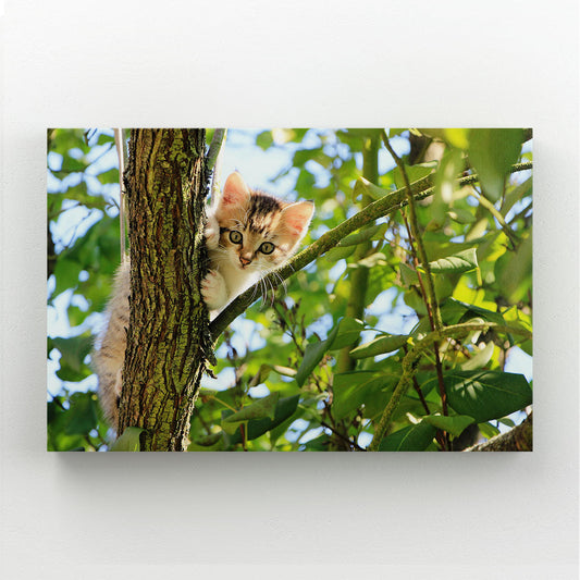 Cute Cat On Tree Wall Art — nature canvas print in green tones