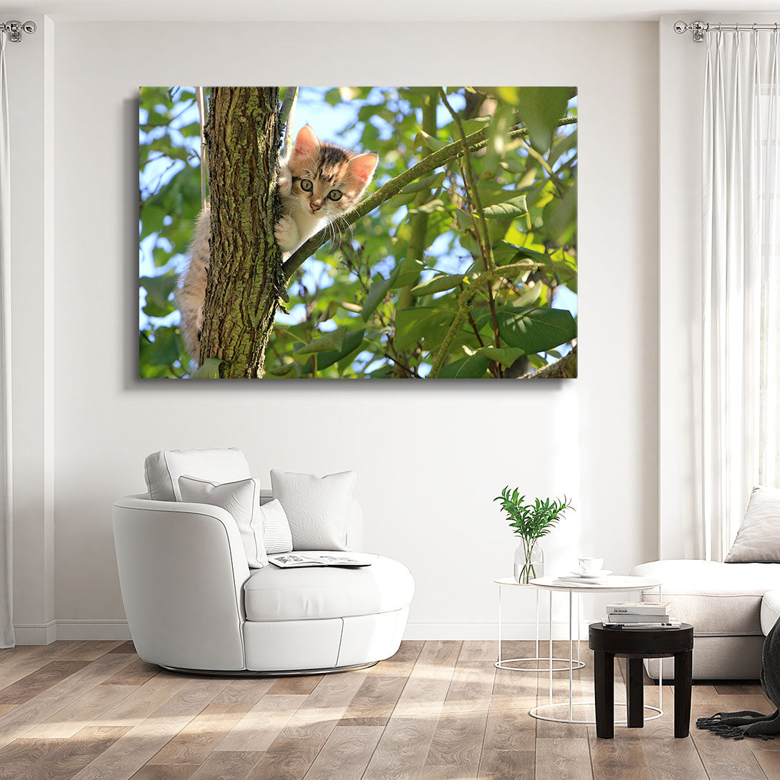 Cute Cat On Tree Wall Art