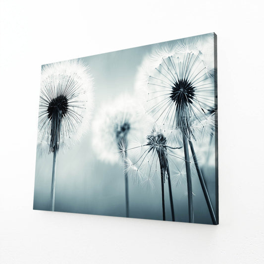 Dandelion Closeup Photography Canvas – angled canvas view on white background