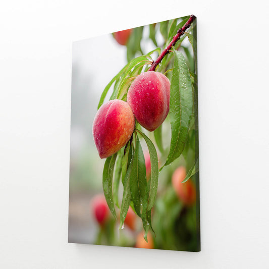 Dewy Fruit Branch Wall Decor – angled canvas view on white background