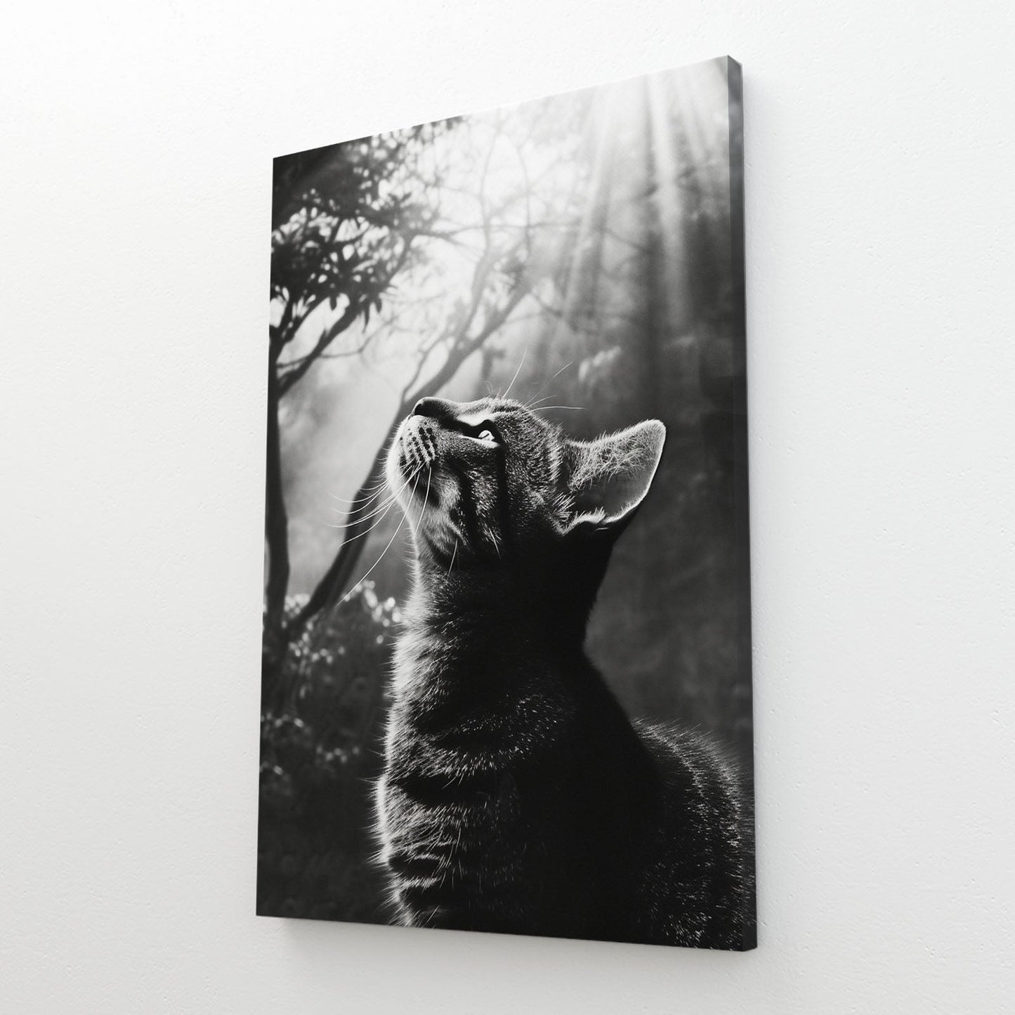 Divine Light Cat Art