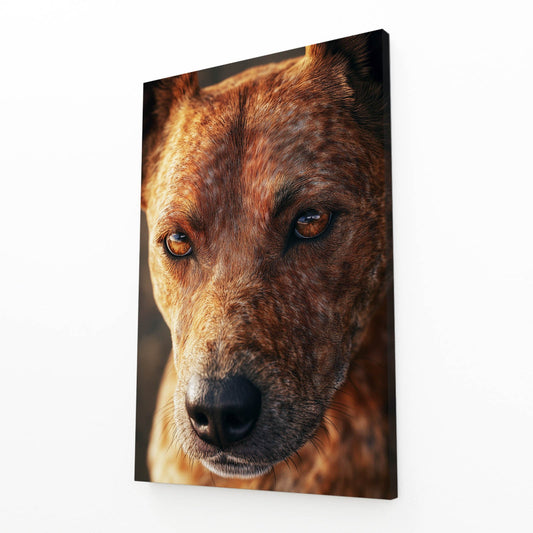 Dog Art Portraits