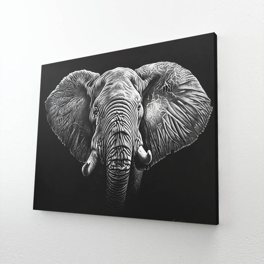 Elephant Art Black And White