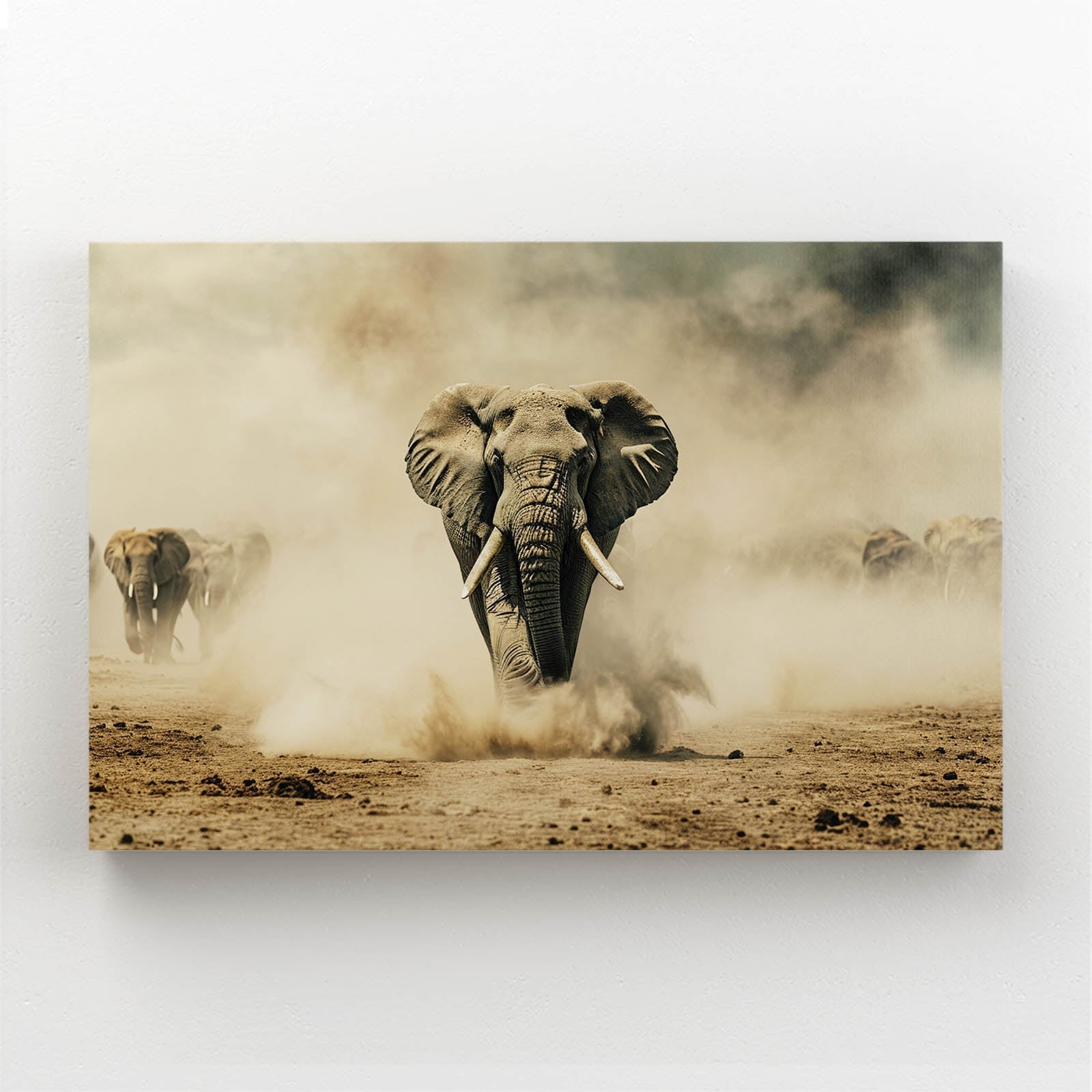 Elephant Dust Storm Wall Art