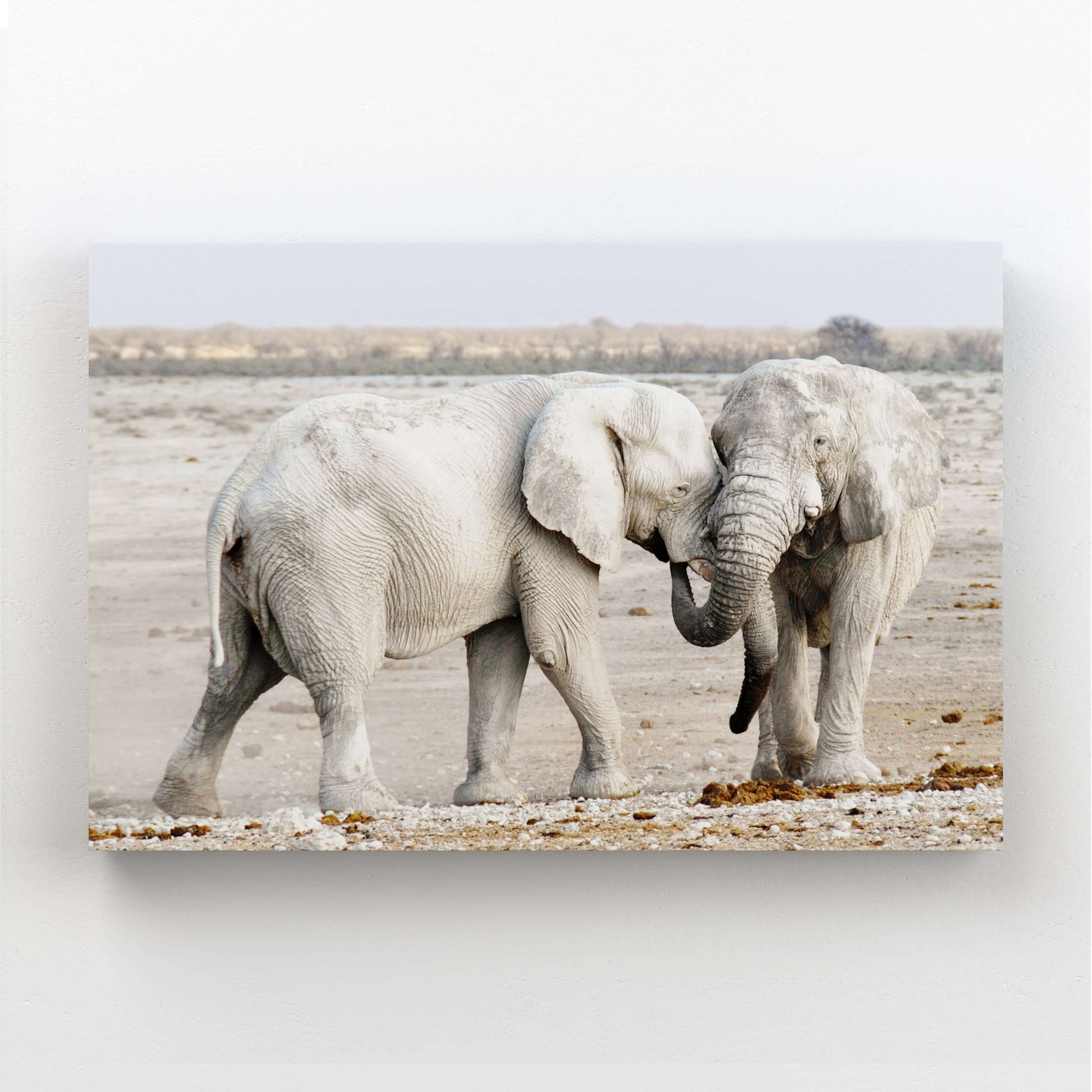 Elephant Family Wall Art
