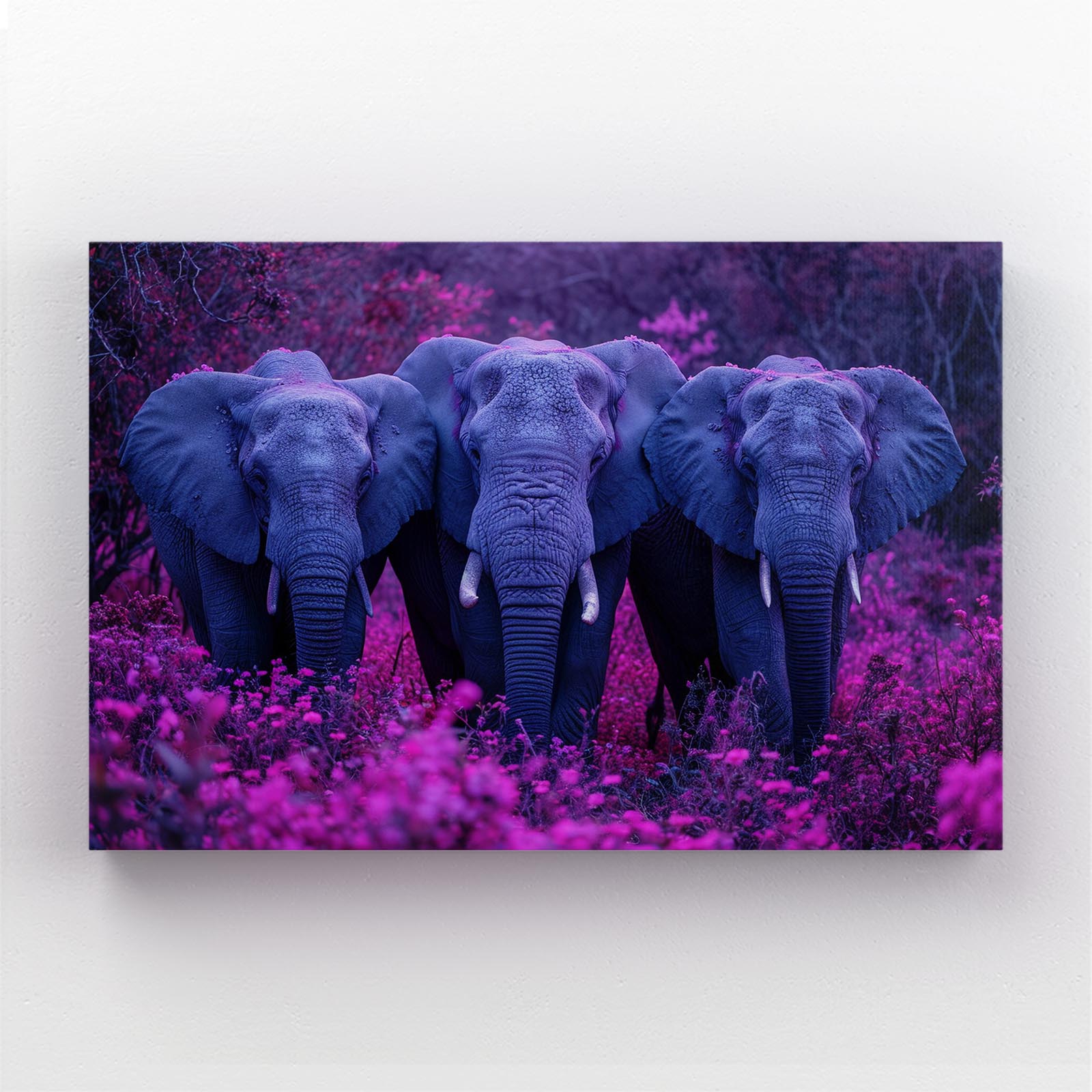Elephants Wall Art
