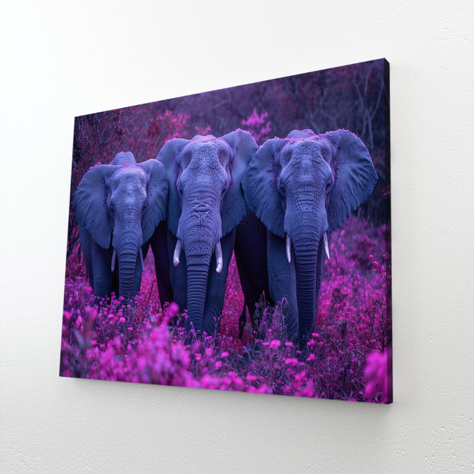 Elephants Wall Art